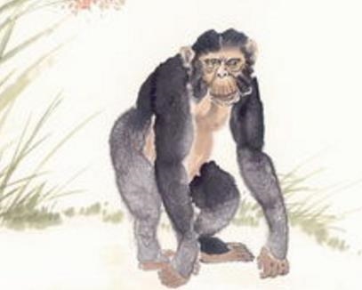 975年男一生财运,75年的兔子财运在哪方"