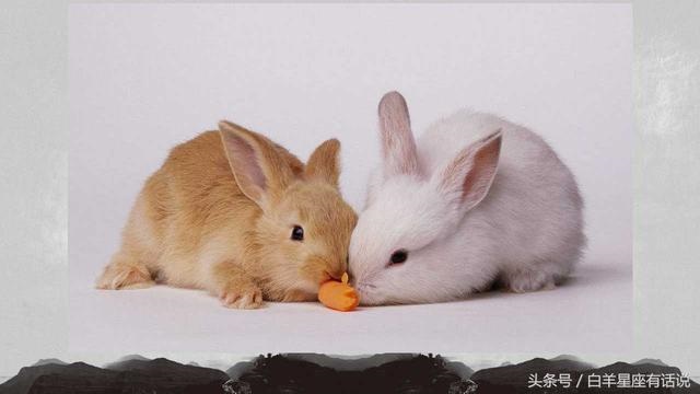 属兔人63年过七劫，63年属兔2022 有牢狱之灾吗