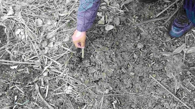 虎进门必伤人伤的是谁，单虎进门必伤人是真是假