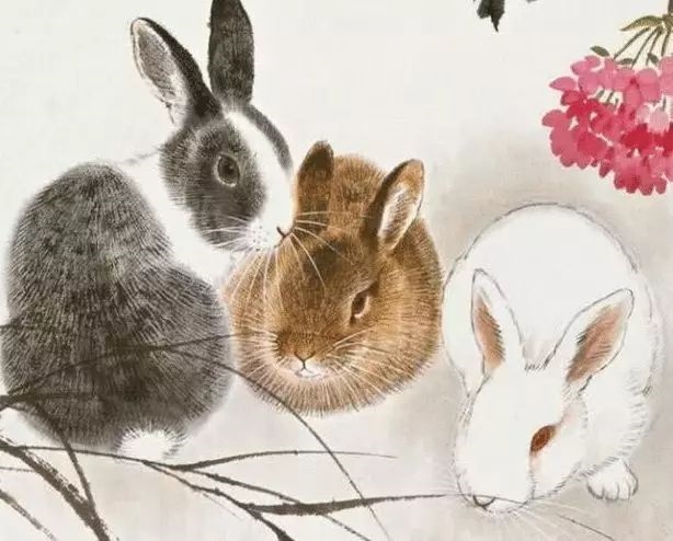 987年属兔正月是什么命,1987年正月的兔子晚上出生"