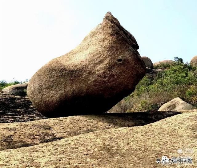 预言唯有玉兔上龙床，千佛万祖保护