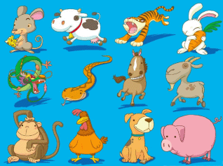 属兔不能和什么属相配，属兔的最怕和什么属相在一起