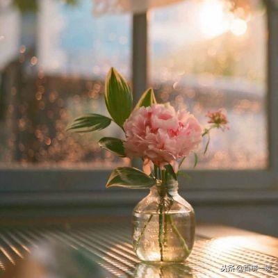 988年属龙女财运如何，88年属龙女一生有几次劫"