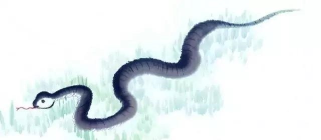 属狗哪月出生是上等之命，真的十狗九富吗