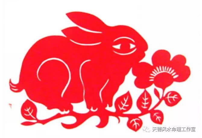 兔和鼠属相相克怎么化解,女鼠和男兔的婚姻如何化解