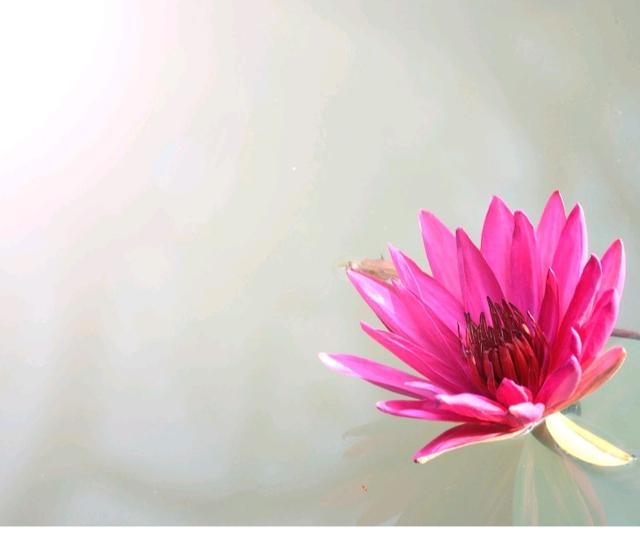 如何抓住属兔男人的心，属兔男喜欢听情话吗