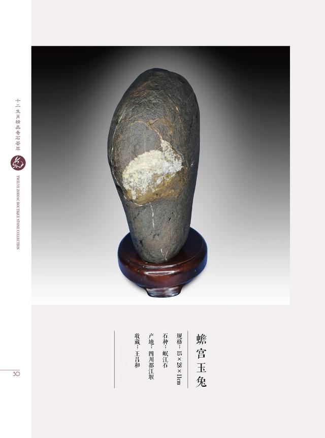 属兔和属虎的合不合财，属兔和属虎的合财吗