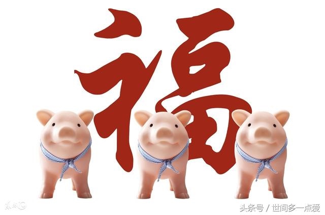 属猪做什么最容易发财,属猪的今年的财运如何
