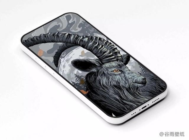 十二生肖图片高清大图，十二生肖动物高清大图