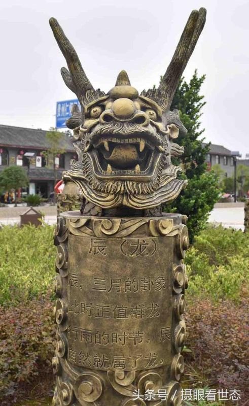 十二生肖图片动物，十二生肖的故事