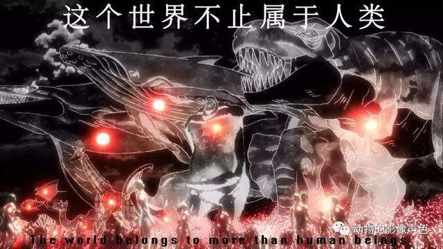 老鼠的死对头是什么动物，比喻天生就是死对头