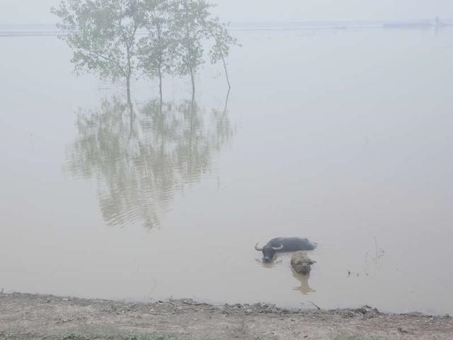 属牛的多大年龄截止19年，属兔的今年多大