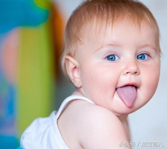 属狗忌讳几月出生农历，属狗女几月出生最旺夫