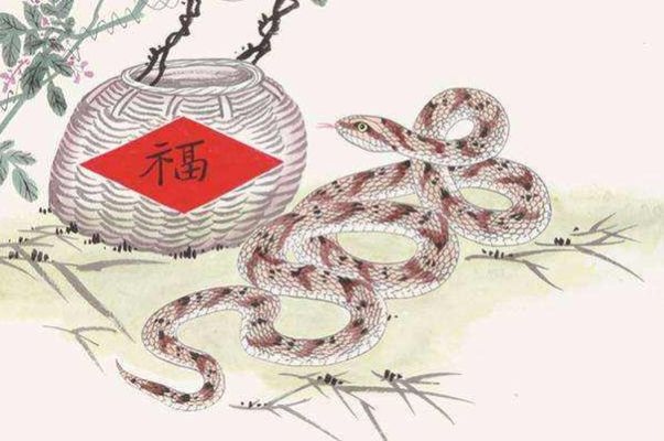 属蛇的人财运怎么样，属蛇的2022 年财运