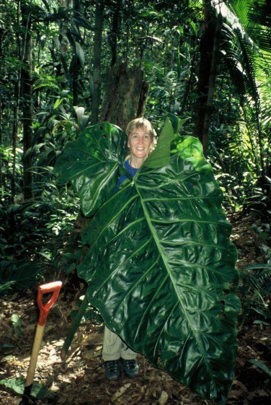 属兔是19几年的，属兔2022 年运势及运程