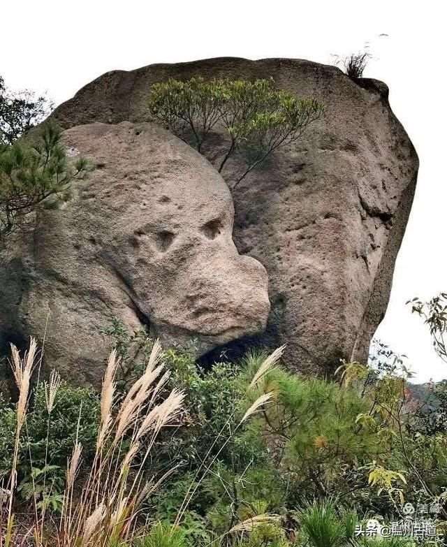 预言唯有玉兔上龙床，千佛万祖保护