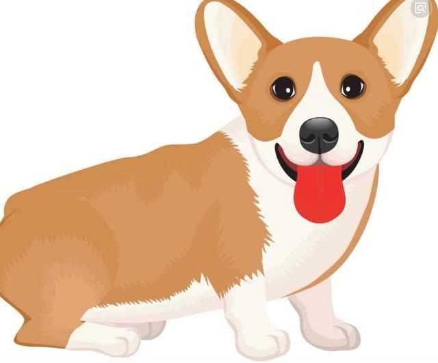 属狗更佳婚配前十名属相,十二属相更佳婚配表