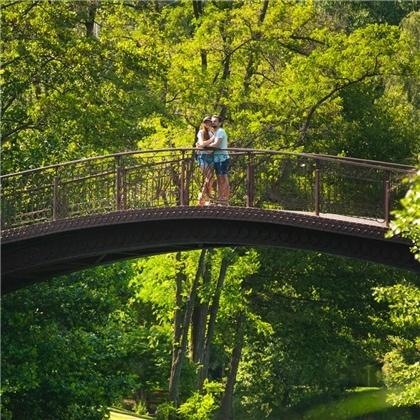 022年属兔的感情婚姻怎么样，87年属兔哪年运气更佳"