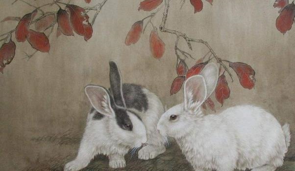 987年兔子多少岁，八七年出生的今年多大了"