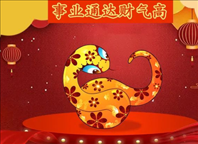 属鼠女和属蛇男大五岁，男鼠女蛇的婚姻会怎么样