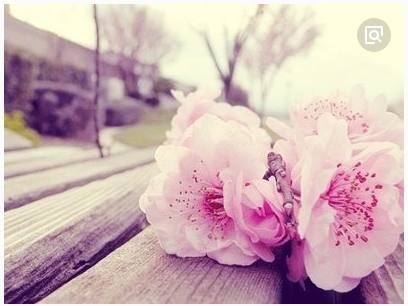 属马人鼠年能添丁吗，1990年属马女2022 年运势