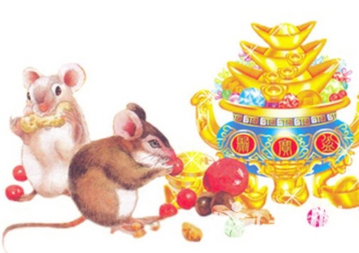 属鼠二月出生的命运，2022 年鼠年2月出生好不好