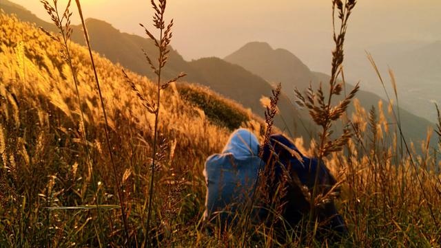 属兔女对性的态度，属兔女会爱一个人多久