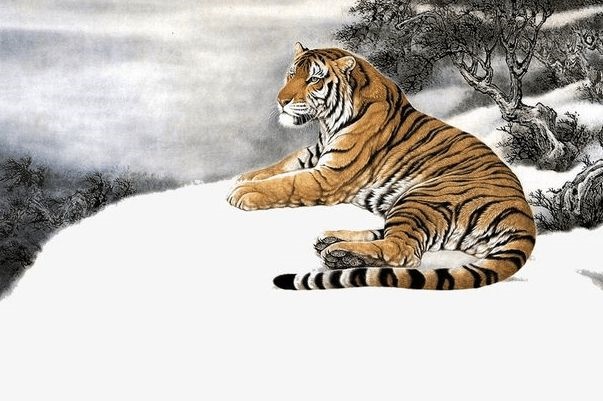 986年虎男的命运，1986年九月虎男的命运怎么样"