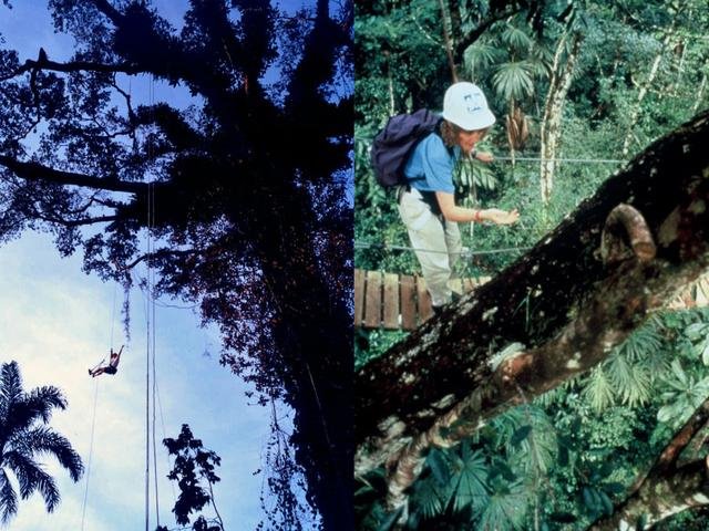 属兔是19几年的，属兔2022 年运势及运程