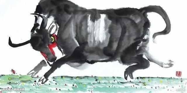 属牛几月生是一等命，97年的牛过了24岁会越来越好