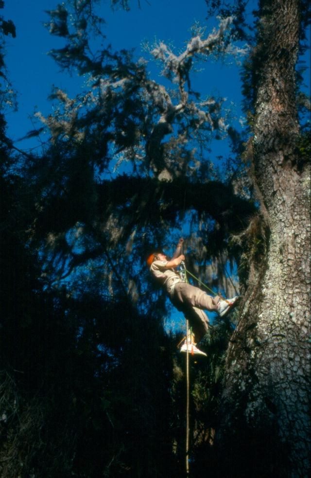 属兔是19几年的，属兔2022 年运势及运程