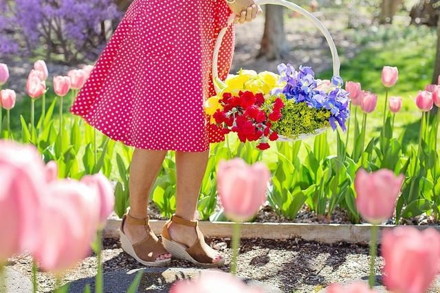 022年必喜结良缘缘的生肖女，2022年结婚吉日大合集"