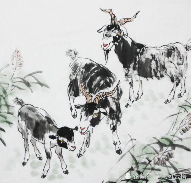 属羊男更佳婚配前十名属相，属相羊男和哪个属相婚配更好