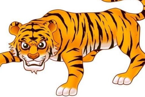 比属虎大10岁属什么，2022 年10岁的孩子属什么