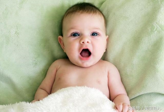 属狗忌讳几月出生农历，属狗女几月出生最旺夫