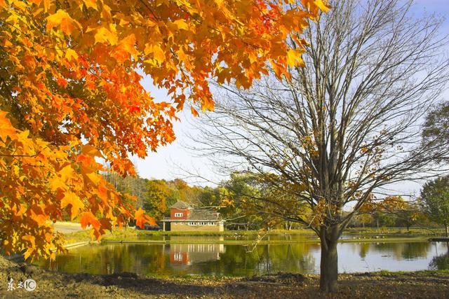 987年属兔的桃花运，1987年属兔2022