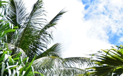 000年出生的男孩命运,2000年属龙2022