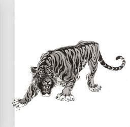 属兔的三合和六个合生肖是什么，属兔的三合六合生肖