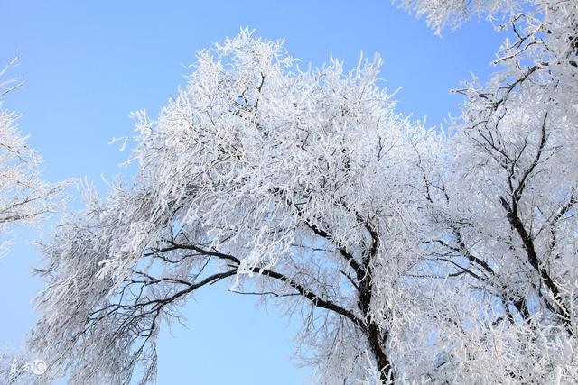 属蛇女2022年的运势如何，属蛇女人2022 年全年运势