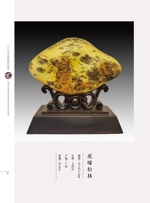 属兔和属虎的合不合财，属兔和属虎的合财吗