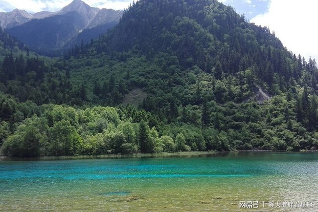 属龙的人2022年的运势，2022 年属龙的运势和财运