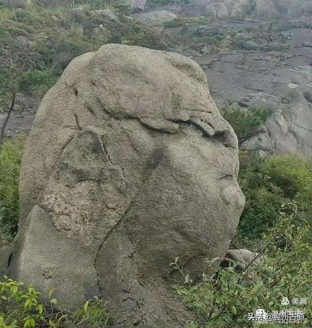 预言唯有玉兔上龙床，千佛万祖保护