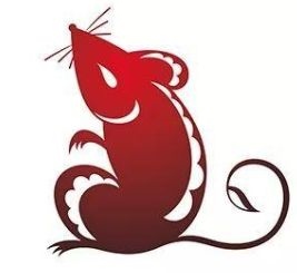 属兔的和属猴的相配吗，属猴男跟属兔女的合不合