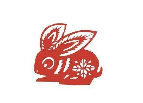 011年属兔的今年多大，2011年的兔子今年几岁了"