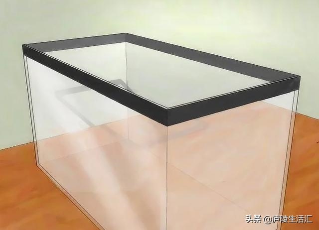 驱赶老鼠最有效的声音视频，家里有老鼠怎么赶走