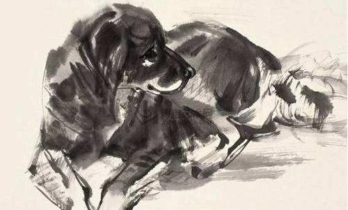 属鼠人今日财运方位,72鼠人2022 年求财方位