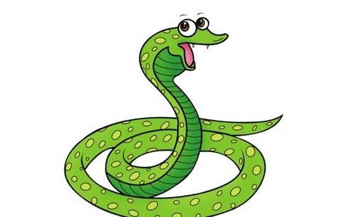 属鼠人今日财运方位,72鼠人2022 年求财方位