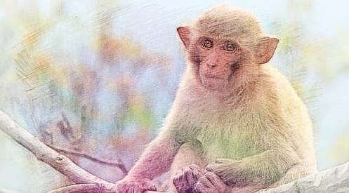 属羊男的性格和脾气，属牛的性格和脾气