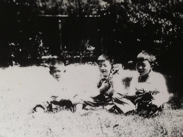 983和1987八字合吗，87年男兔和83年女猪"