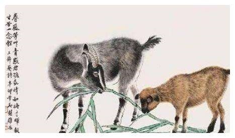 天生不能在一起的生肖配对，最容易在一起的生肖配对